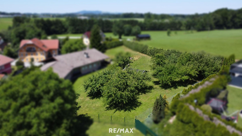 Grundstück - 5301, Eugendorf - Sonniger Baugrund in Eugendorf (Baugrund I)