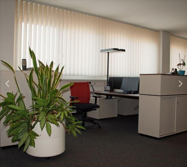 Büro / Praxis - 2345, Brunn am Gebirge - Moderne Büro- und Lagerflächen in Brunn am Gebirge.