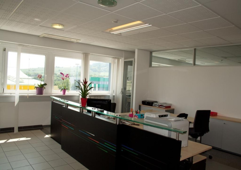 Büro / Praxis - 2351, Wiener Neudorf - Büroflächen in verschiedenen Größen.