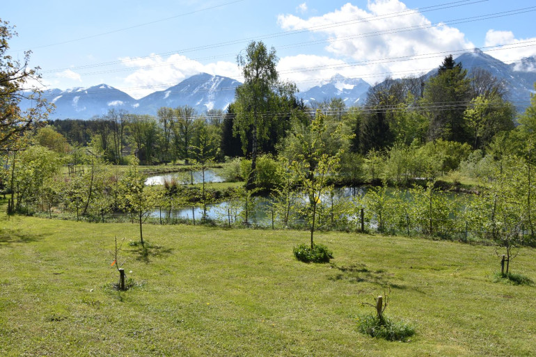 Land und Forstwirtschaft - 9072, Ludmannsdorf - "Oh Du Mei Rosental........"