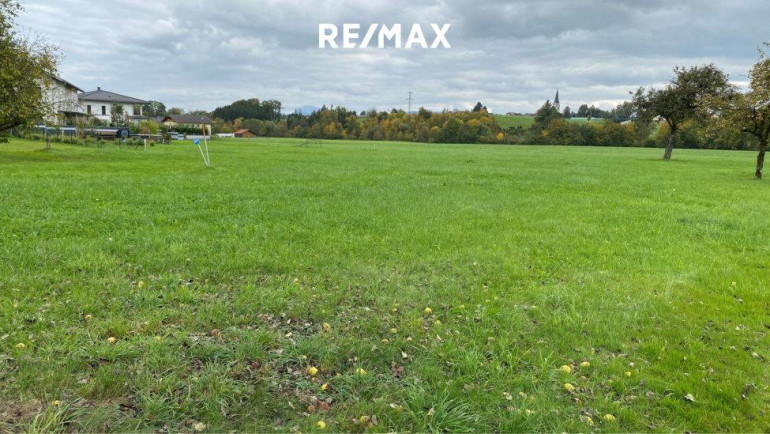 Grundstück - 4851, Gampern - Sonniges, vollkommen ebenes Grundstück im Dorfgebiet von Gampern – Seltene Gelegenheit mit viel Potenzial