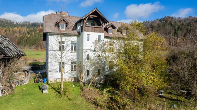 Haus - 4575, Roßleithen - Mehrfamilienhaus mit großem Potential - Ihre krisenfeste Kapitalanlage - Terminbesichtigungen unter www.remax.at/1616-2575