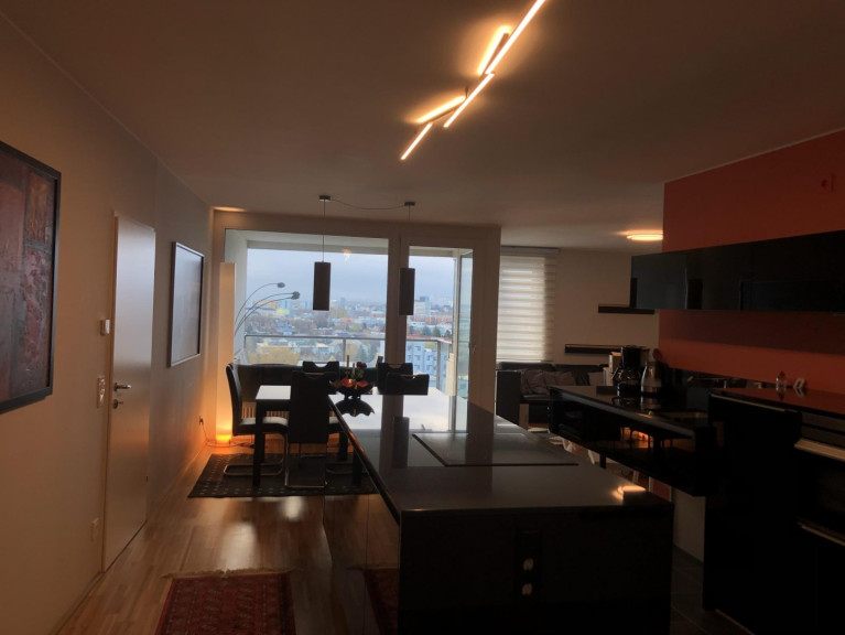 Wohnung - 4020, Linz - Traumwohnung mit Blick auf die Stadt!