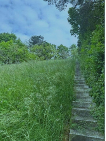 Grundstück - 3400, Weidling - GRUNDSTÜCK MIT ALTBESTAND