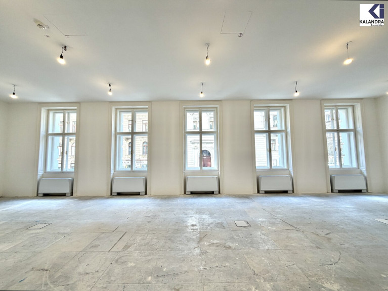 Büro / Praxis - 1010, Wien,Innere Stadt - REPRÄSENTAIVES BÜRO NAHE RATHAUSPLATZ