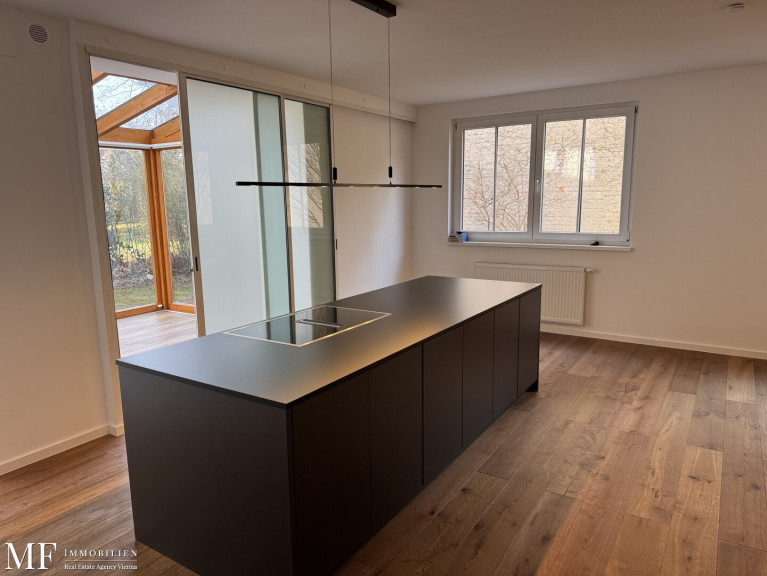 Haus - 1230, Wien - Wohnen  im  Mehrfamilienhaus / 8 Zimmer, 3 Bäder, 2 Eingänge