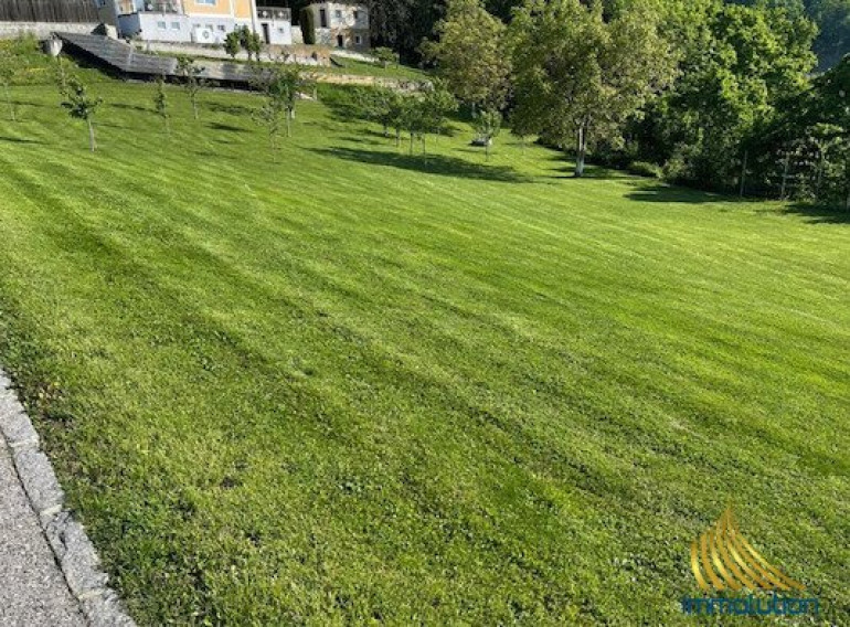 Grundstück - 4221, Steyregg - Baugrundstück in Top Ruhelage! #1