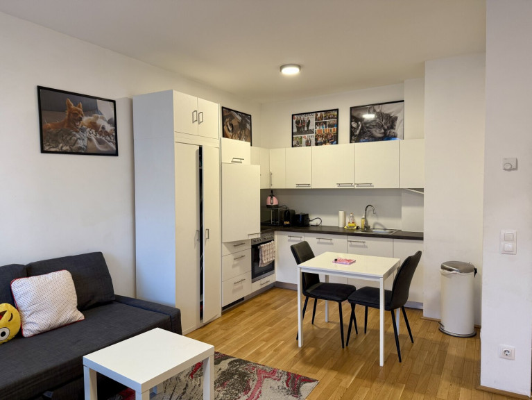 Wohnung - 1220, Wien - Moderne Erdgeschoßwohnung an der Alten Donau (möbliert, komplett ausgestattet)