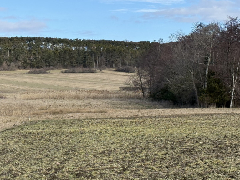 Grundstück - 2753, Dreistetten - Dreistetten - Top-Wertanlage! Grünlandgrundstücke (Wiese/Acker/Wald) in ortsnaher Lage