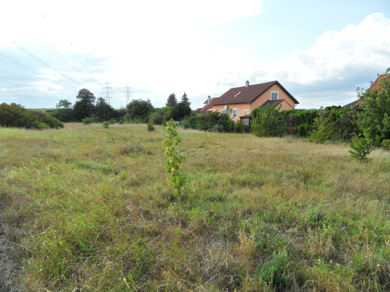 Grundstück - 2203, Eibesbrunn - GRÖSSEN UNTERSCHIEDLICHE GRÜNGÜRTELFLÄCHEN Mit ZUKUNFT – UNTERSCHIEDLICHE NUTZUNG