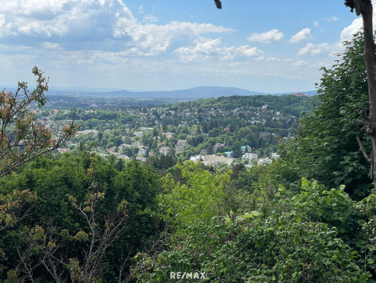 Haus - 1180, Wien - Top Aussichtslage am Schafberg!