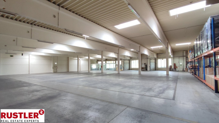 Halle / Lager / Produktion - 4063, Hörsching - Große Hallenfläche mit Büro