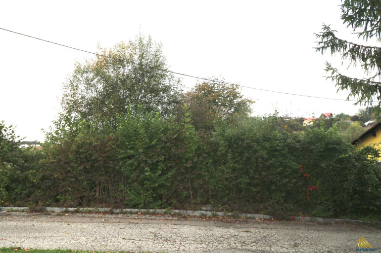 Grundstück - 4493, Wolfern - Baugrundstück in ruhiger Lage in Wolfern – kein Bauzwang, kein Bebauungsplan