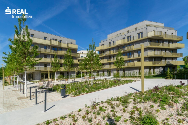 Wohnung - 1210, Wien - Hier wohnen Sie im 21. am schönsten - Erstbezug - Fragen Sie nach dem attraktivsten Preis - anfragen, besichtigen, einziehen - 41 bis 96 m²