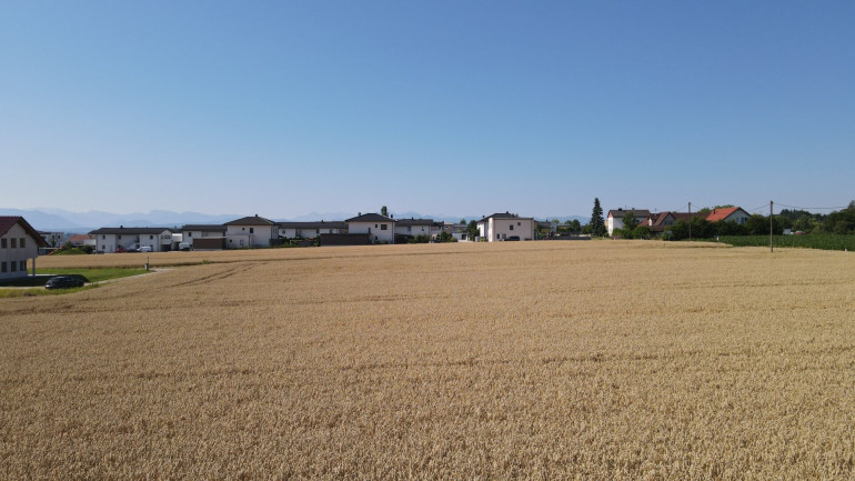 Wohnung - 4531, Kematen an der Krems - Dreifamilienhaus!!!!! Erstbezug mit Südbalkon, Carport und flexiblem Raumkonzept!
