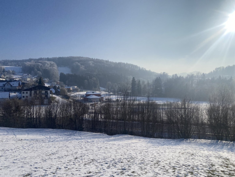 Grundstück - 4542, Nußbach - Ihr Traumgrundstück in 4542 Nußbach – 694m² für nur 118.000 €! Jetzt zugreifen!