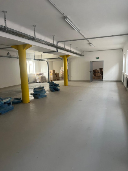 Halle / Lager / Produktion - 1230, Wien - Gewerbeobjekt für staubfreie Produktion 1271m² vollsaniert, 10 Stellplätze, äußerst verkehrsgünstig gelegen, teilbar