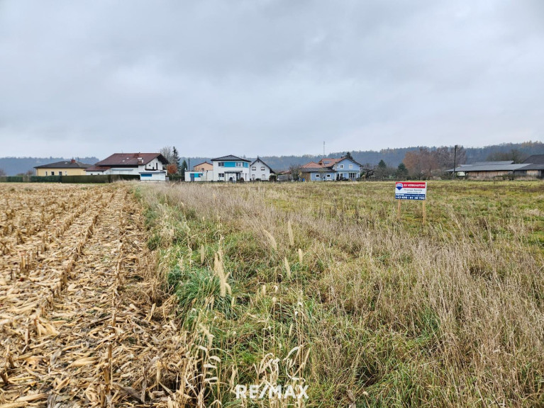Grundstück - 5123, Überackern - Bauerwartungsland