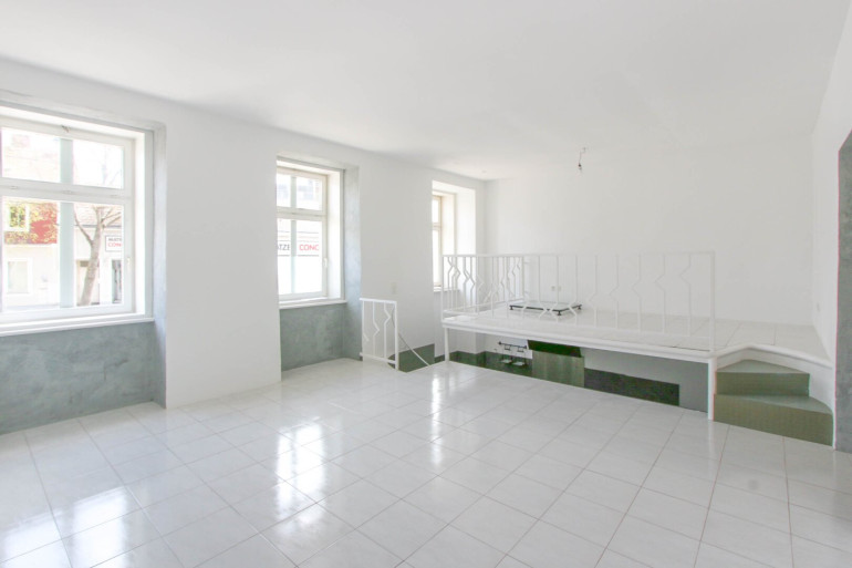 Wohnung - 1130, Wien - Etwas Besonderes: Einzigartige Wohnung mit Gartennutzung!