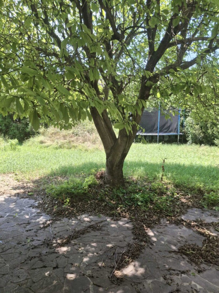 Haus - 1220, Wien - Einzigartige Lage Mitten in Aspern