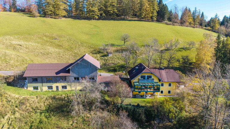 Haus - 4644, Scharnstein - ALLEINLAGE - INTAKTE NATUR - HERRLICHE AUSSICHT - IHR TRAUM? GERNE BAUER?