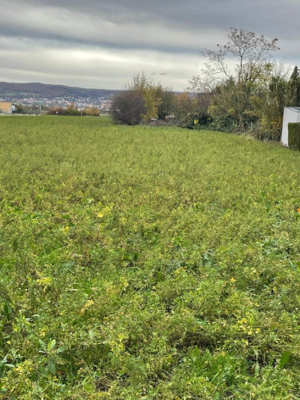 Grundstück - 7061, Trausdorf an der Wulka - Baugrundstück - Sackgasse - Fernsicht