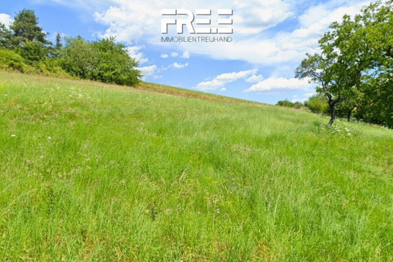 Grundstück - 3500, Krems an der Donau - GRUNDSTÜCK IN GRÜNLAGE | Hanggrundstück mit traumhaftem Weitblick