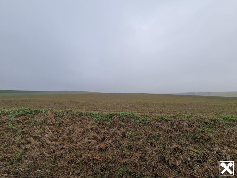 Grundstück - 2002, Großmugl - TOLLE ACKERFLÄCHE IN SÜDSEITIGER AUSRICHTUNG MIT GUTER BONITÄT IN GROßMUGL