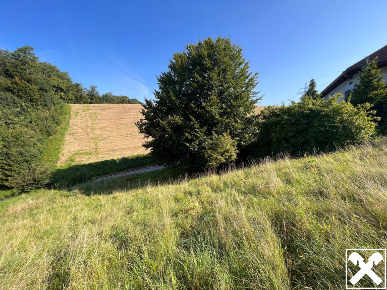 Grundstück - 4441, Behamberg - Interessantes Baugrundstück in Stadtnähe