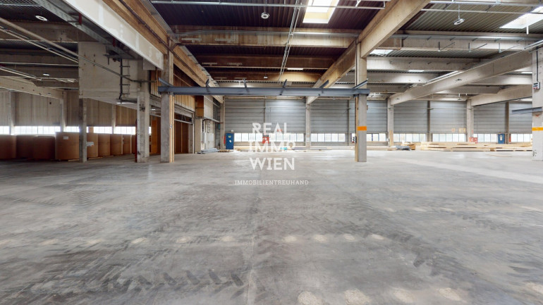 Halle / Lager / Produktion - 2514, Traiskirchen - Großzügiges Lager mit Freifläche in zentraler Lage von Traiskirchen - ideal für Industrie und Gewerbe.