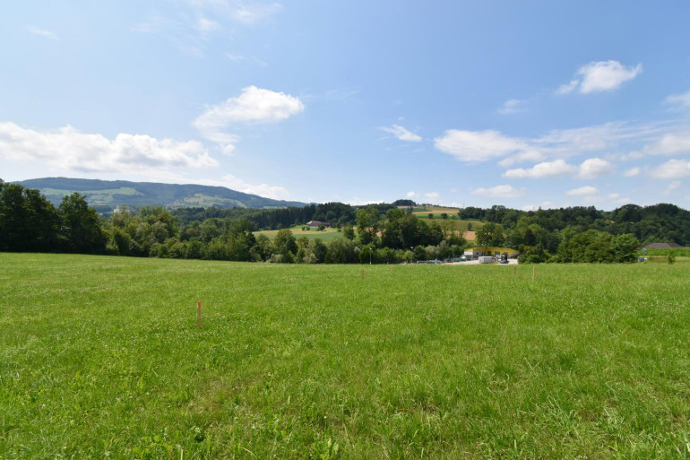 Grundstück - 4441, Behamberg - Wohnen im Grünen &amp; doch stadtnah! 729 m² Baugrund mit traumhaftem Ausblick in ruhiger/grüner Lage!