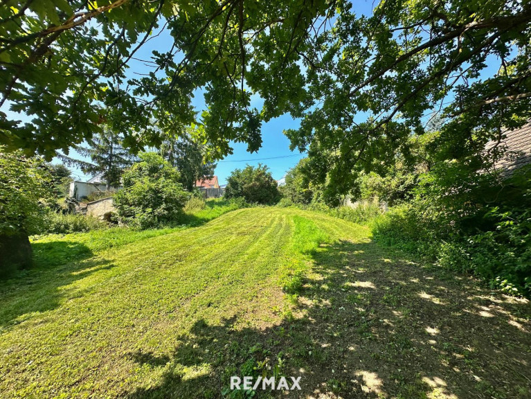 Haus - 2165, Drasenhofen - Baugrundstück mit sanierungsbedürftigem Bauernhof, Stallungen und Stadl in ländlicher Lage zu verkaufen.