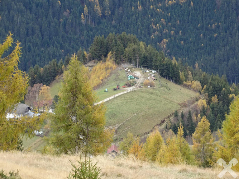 Land und Forstwirtschaft - 9562, Außerteuchen - 52-Hektar-Naturparadies mit Hofstelle, Stallungen & Wildtierhaltung