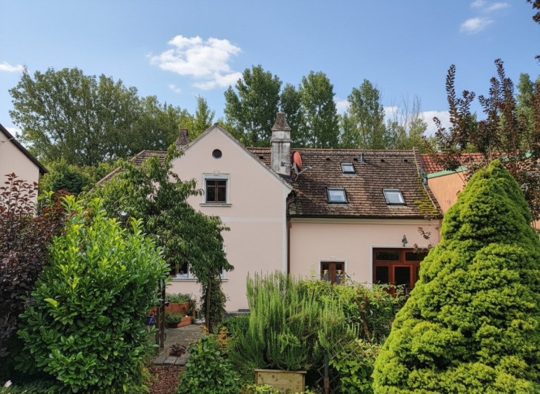 Haus - 2122, Ulrichskirchen - Einfamilienhaus inmitten eines grünen Gartenparadieses in Ulrichskirchen - Ihr neues Zuhause!