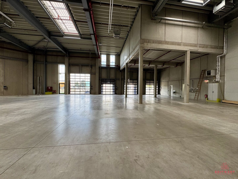 Halle / Lager / Produktion - 2100, Korneuburg - PRODUKTIONSFLÄCHEN