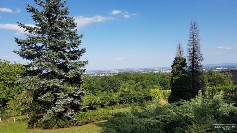 Grundstück - 2380, Perchtoldsdorf - Seltene Gelegenheit: Winzerhaus auf uneinsehbarem Grundstück | ZELLMANN IMMOBILIEN