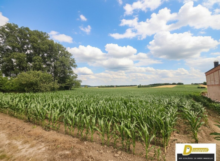Grundstück - 2111, Tresdorf - Baugrundstück in 2111 Tresdorf – 1.001 m² in toller Ruhelage