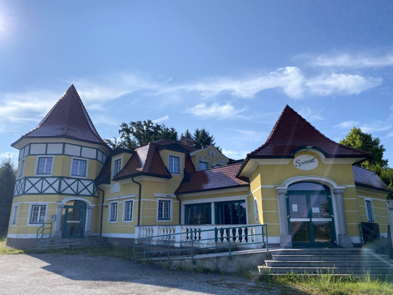 Gastgewerbe - 4501, Neuhofen an der Krems - Spessart: Perfekte Location für Partys & Events: Gastgewerbe mit Discothek samt Dachgeschosswohnungen in Neuhofen