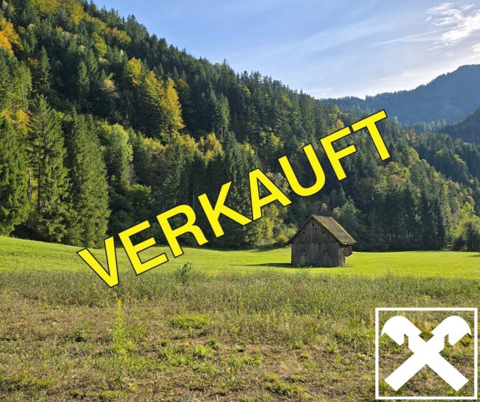 Grundstück - 9135, Ebriach - Grundstücke mit Zukunft – vielseitig nutzbare Wald- und Wiesenflächen in idyllischer Lage von Bad Eisenkappel