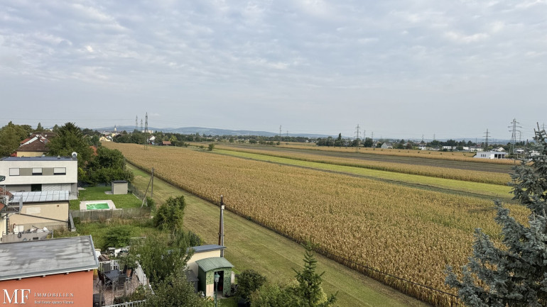 Wohnung - 2102, Bisamberg - Familienwohnung in Bisamberg