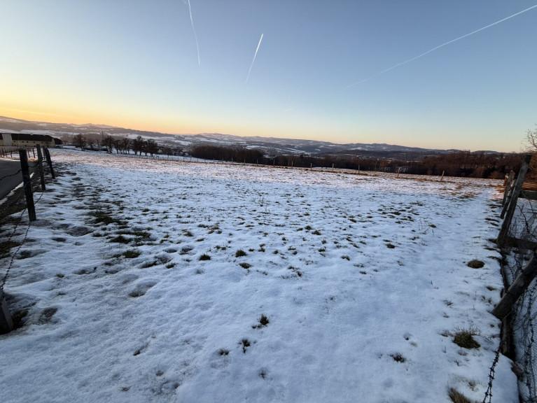 Grundstück - 4223, Weidegut - Einmalig gelegenes "Sundowner-Grundstück" im Speckgürtel von Linz