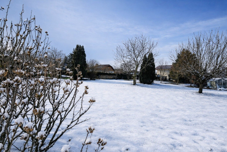 Grundstück - 5020, Salzburg - Grundstück mit Altbestand in Maxglan