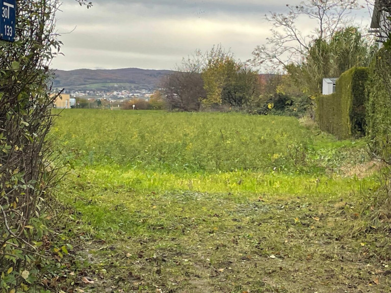 Grundstück - 7061, Trausdorf an der Wulka - Baugrundstück - Sackgasse - Fernsicht