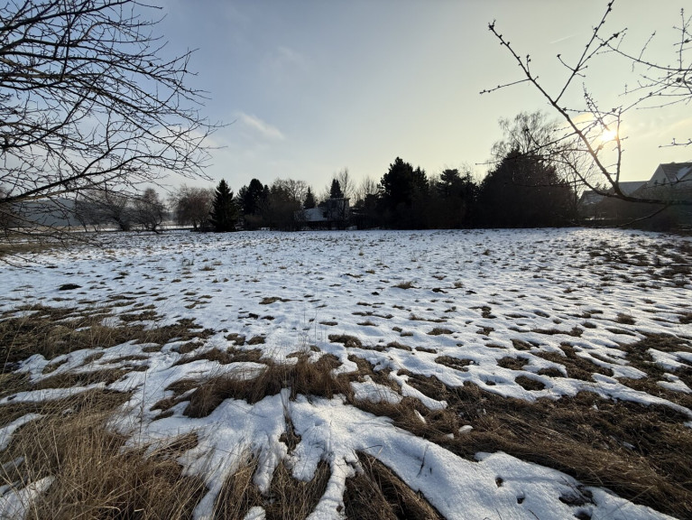 Grundstück - 2753, Dreistetten - Dreistetten - Top-Wertanlage! Grünlandgrundstücke (Wiese/Acker/Wald) in ortsnaher Lage