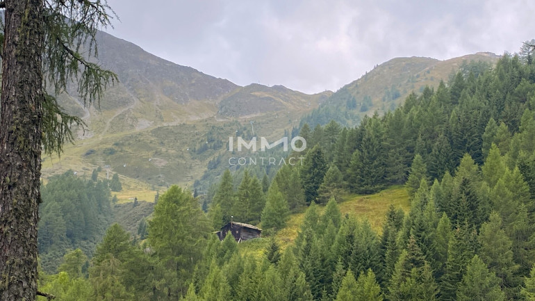 Land und Forstwirtschaft - 9981, Kals am Großglockner - Waldparzellen am Fuße des Großglockners