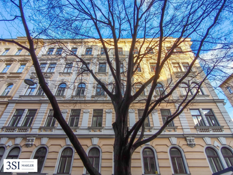 Einzelhandel - 1090, Wien - Weitläufige Eck-Gewerbefläche - Raum für Ihr erfolgreiches Business!