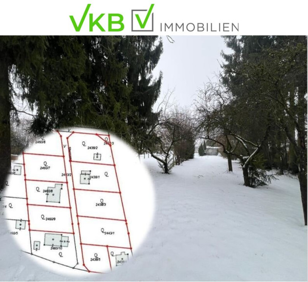 Grundstück - 4211, Spattendorf - Platzreiches Grundstück in Spattendorf - Gemeinde Alberndorf in der Riedmark (GST 2443/1)