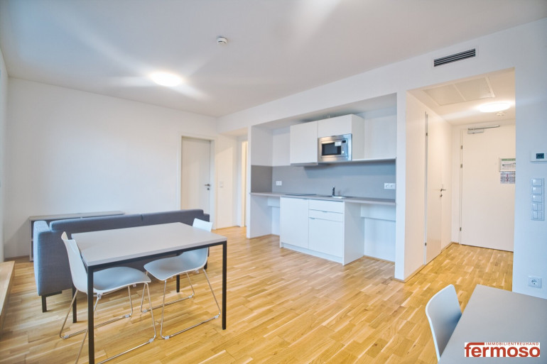 Wohnung - 1100, Wien - möblierte Apartments zur Kurzzeitmiete (2-12 Monate) / furnished apartments for short-term rental (2-12 months)