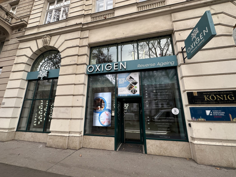 Einzelhandel - 1010, Wien - Geschäftslokal in 1010 Wien zu mieten