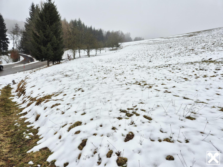 Grundstück - 3233, Kettenreith - WIESEN Teil 2